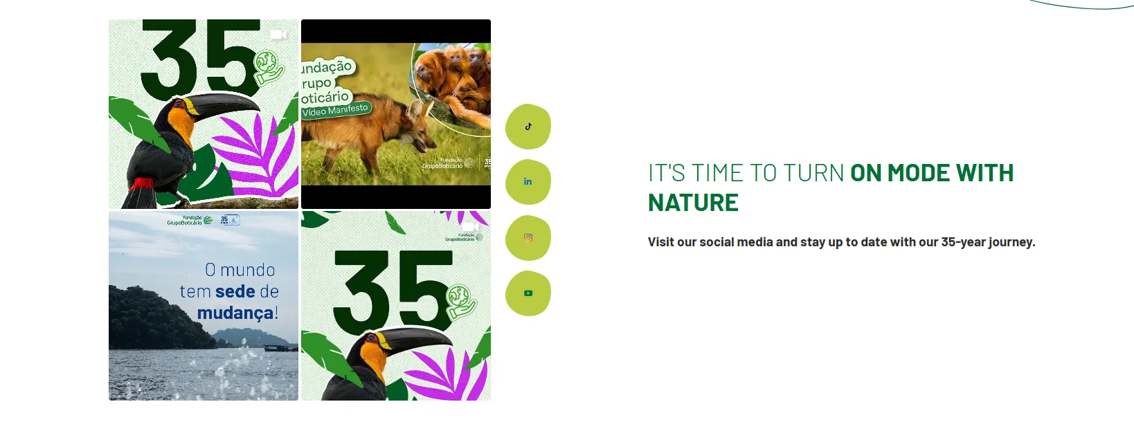 Foundation Grupo Boticario