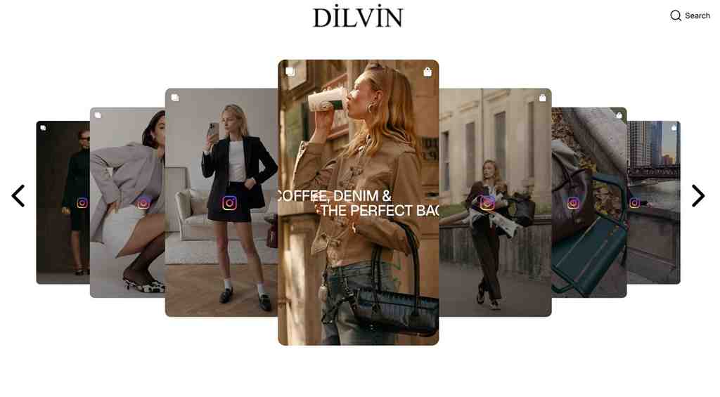 DILVIN ecommerce