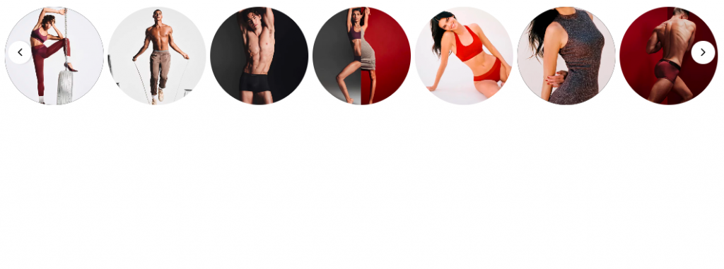 Instagram Story Slider - Tagembed