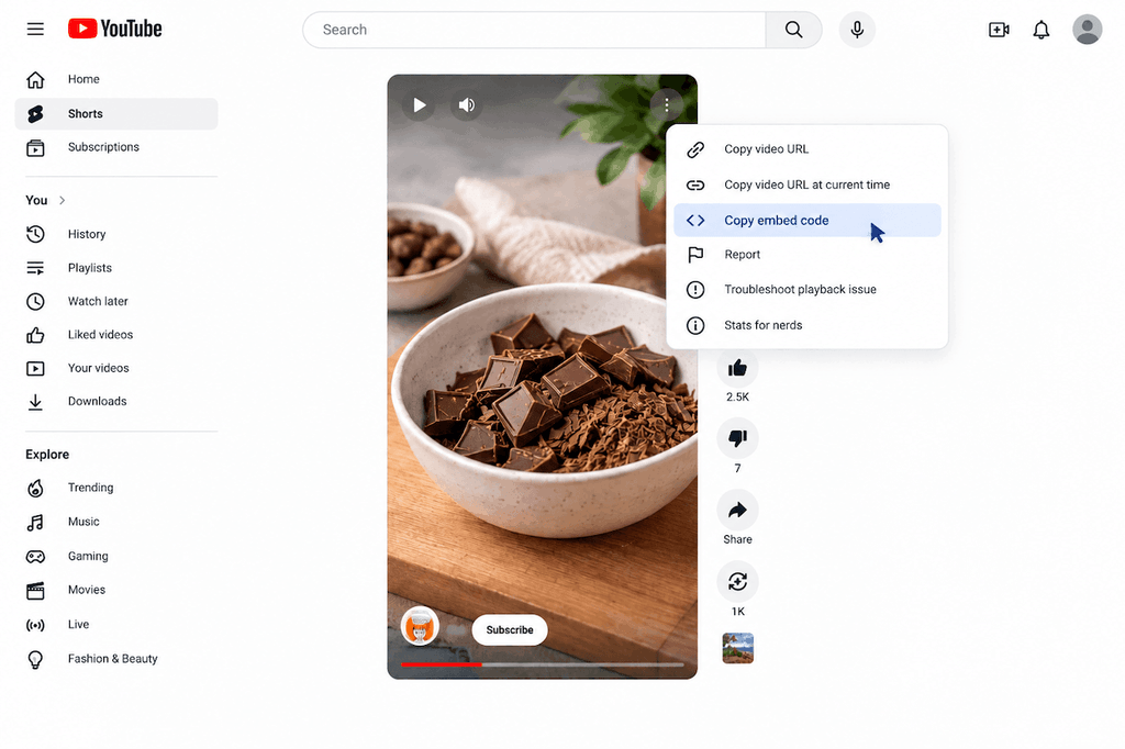 Youtube Native Embed code