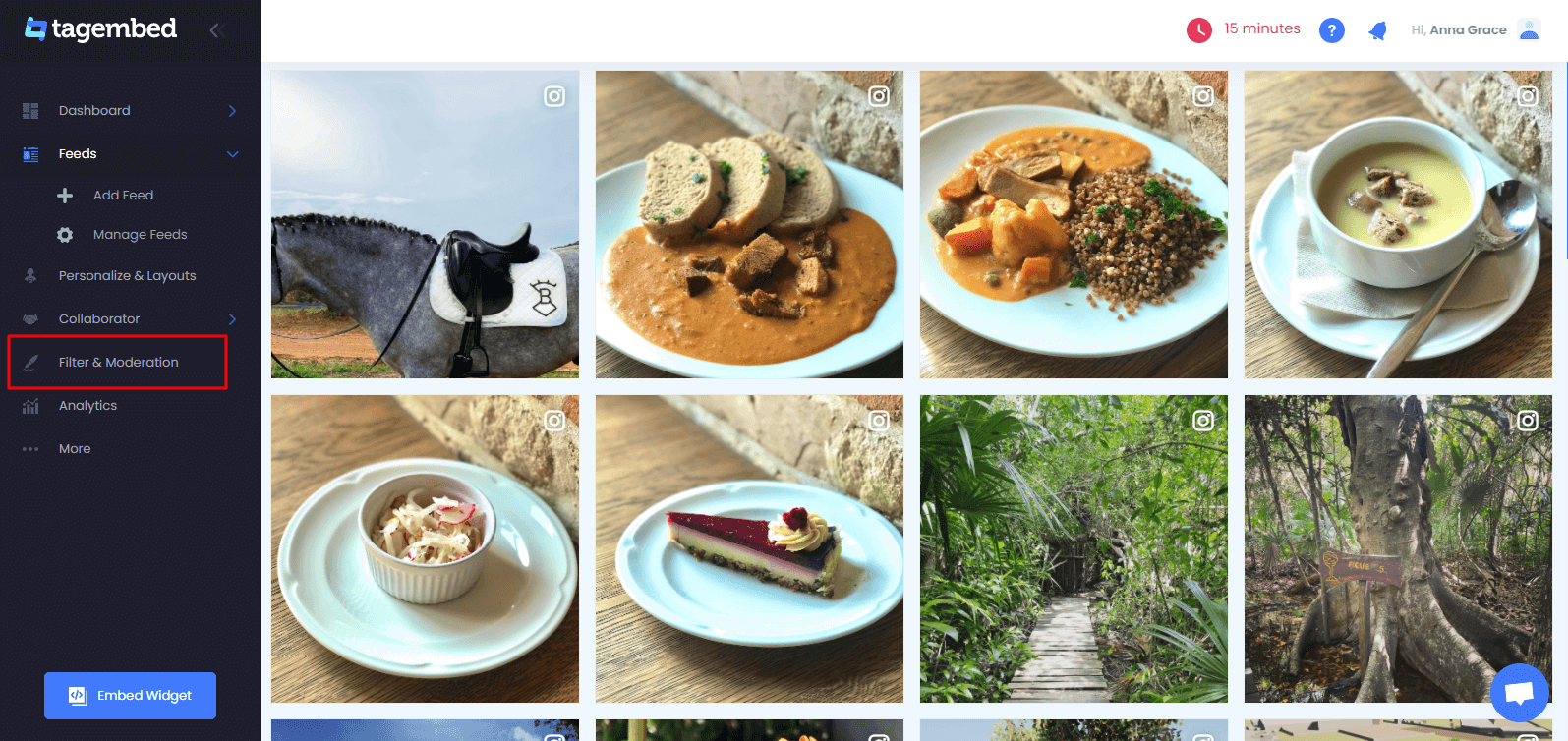 Embed Instagram Feed Like a Pro