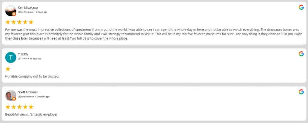 Top Google Customer Reviews Examples On Website - Tagembed