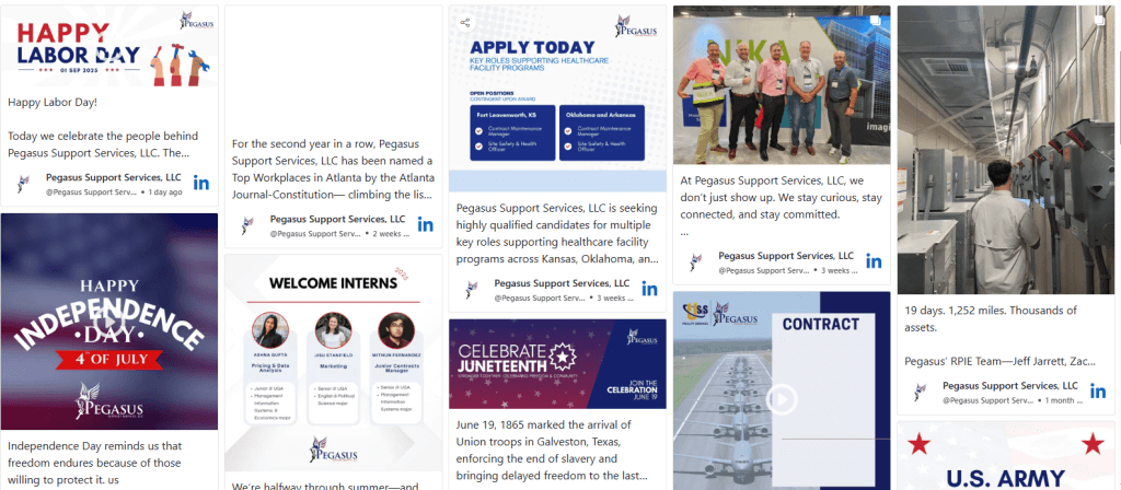 pegasus linkedin feed