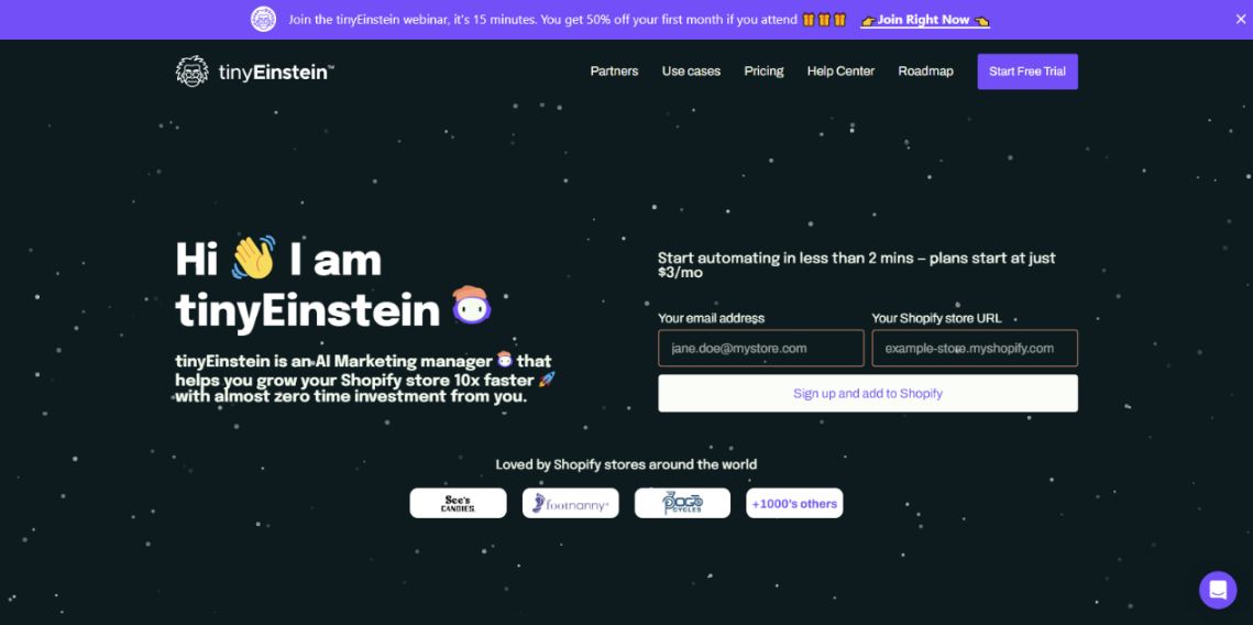TineEinstein.ai - AI Marketing Manager  for shopify store owners
