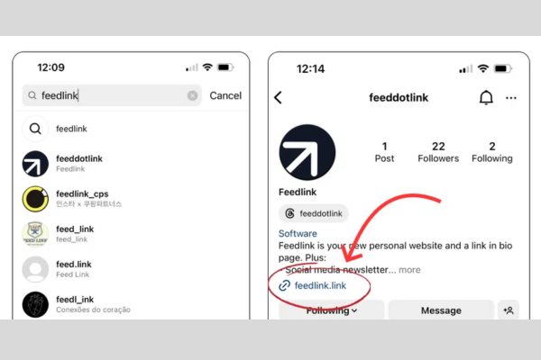 Link in the Bio Section
