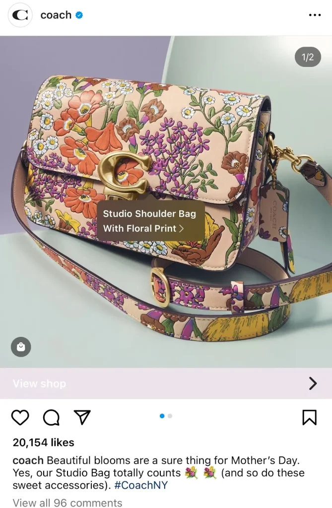 Coach Instagram Social Commerce