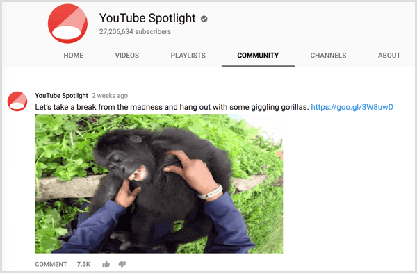youtube sportight