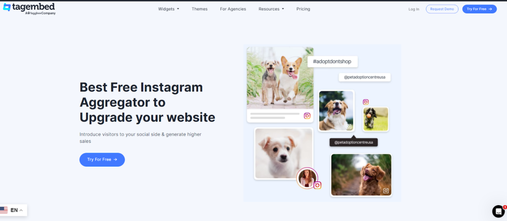 tagembed