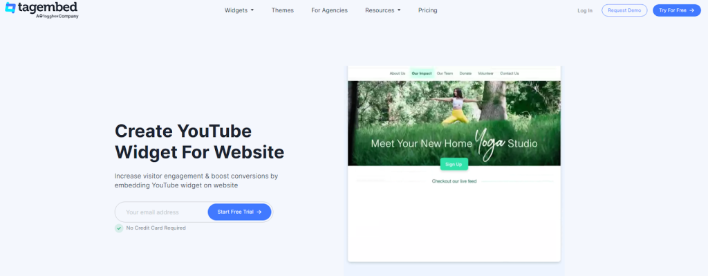 youtube widget by tagembed