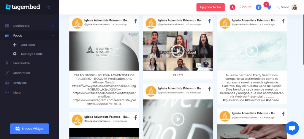Embed Widget