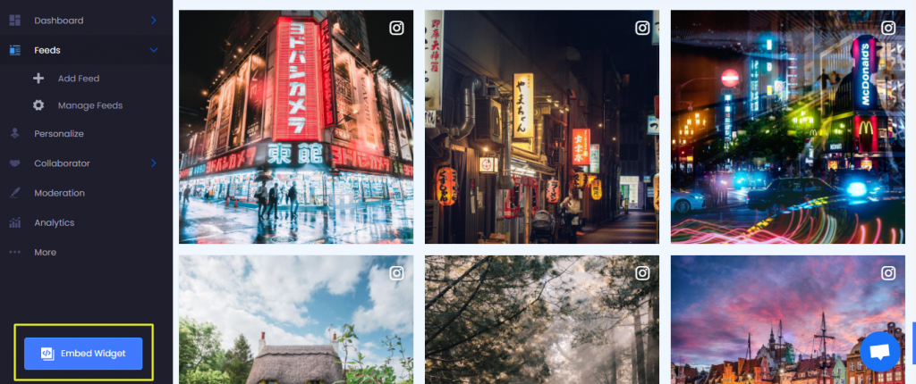 Embed Social Media Feeds