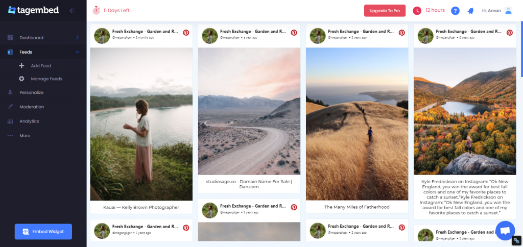 Pinterest Feeds