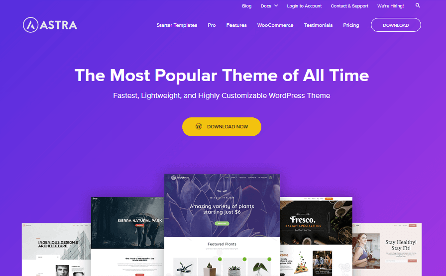 astra theme
