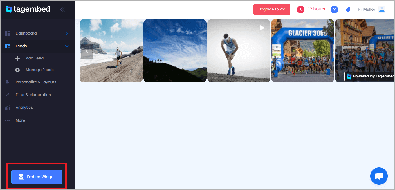 embed Widget button
