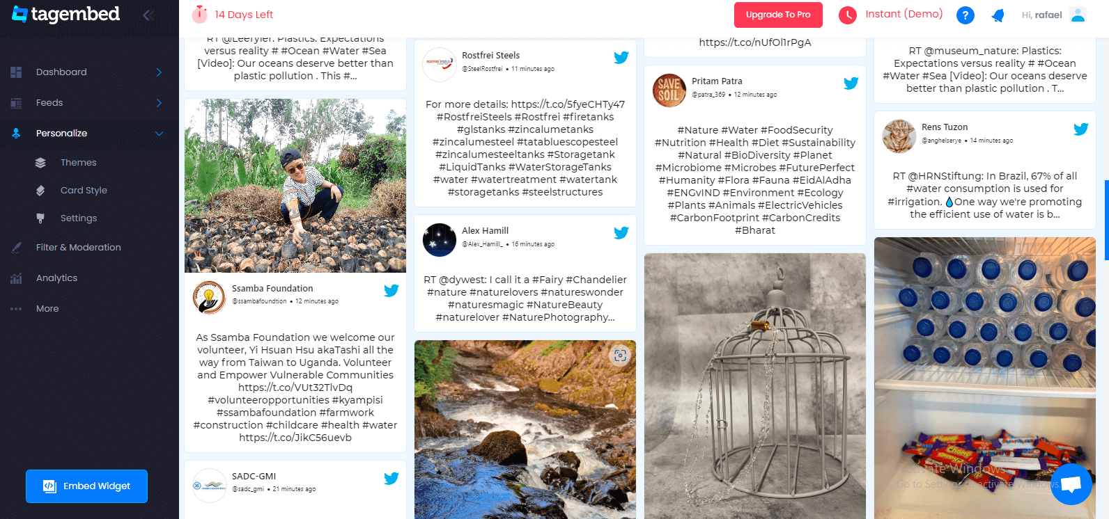 twitter feed widget