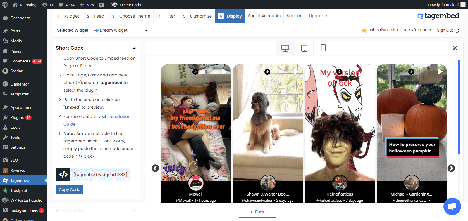 display tiktok feed